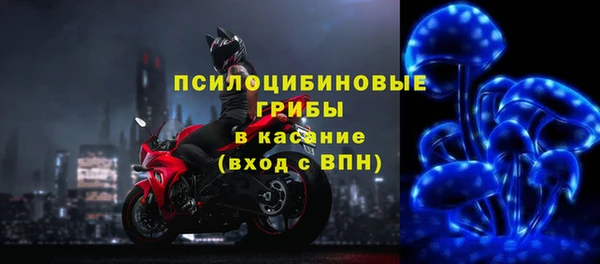 apvp Алексеевка