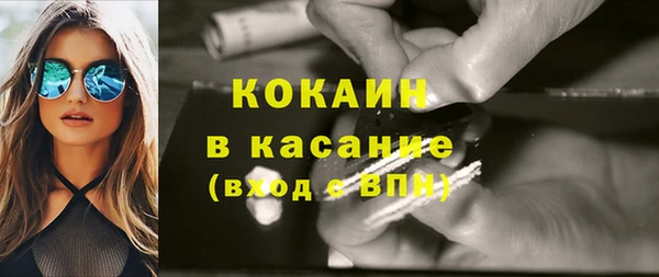 тгк Абаза