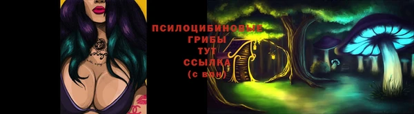 скорость Алексин